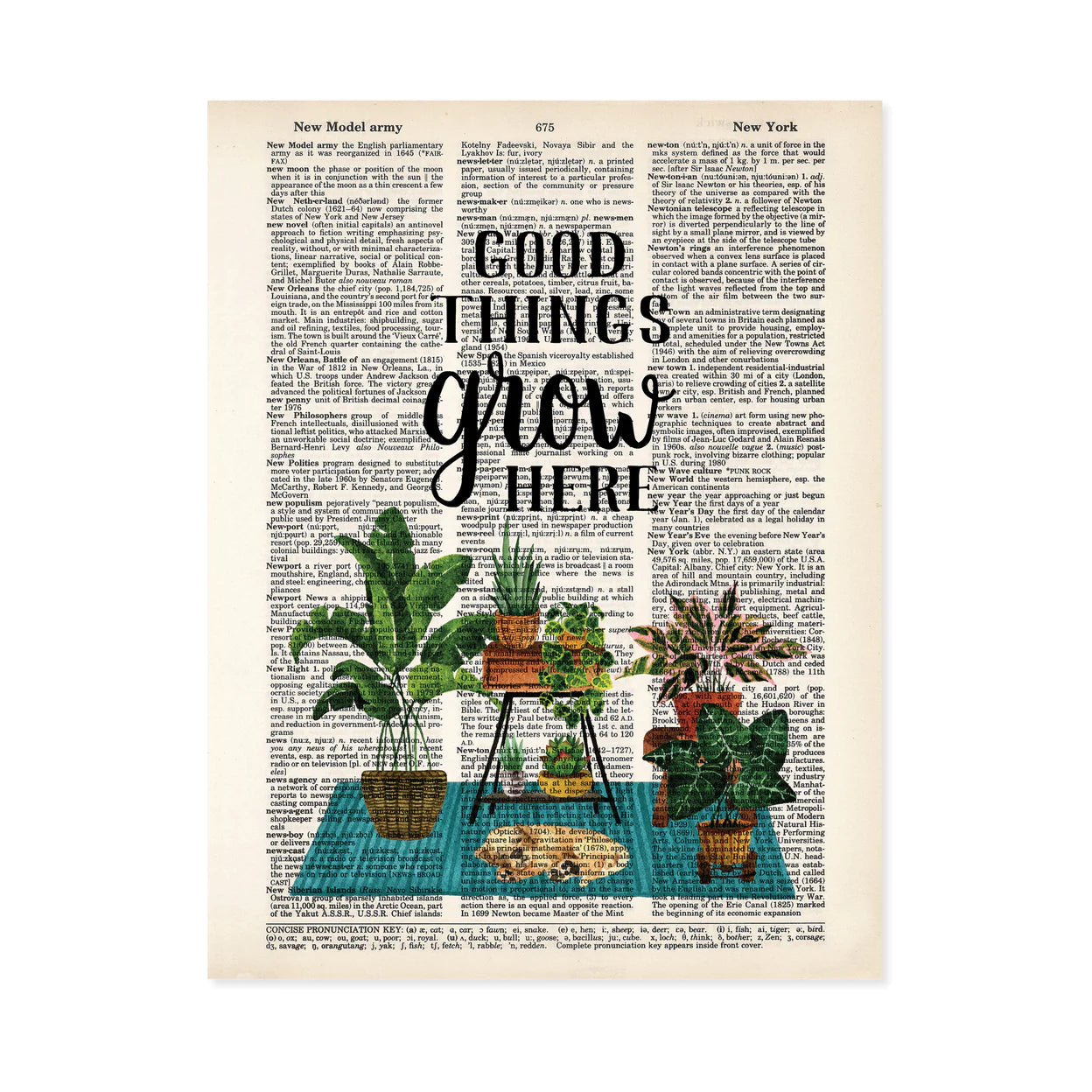 Planty Dictionary Page Print